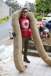 Levi's Employee Volunteer Day, Corporate Team Building