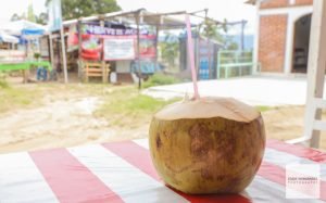 Oaxaca, Mexico Fresh Coconut with a straw