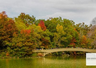 Bow Bridge View, Central Park, Autumn Fall Colors, New York City