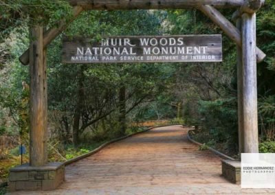 Muir Woods National Park Entrance, Marin County, California