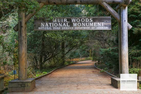 Muir Woods National Park Entrance, Marin County, California
