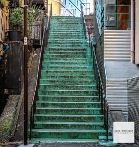 Green Stairs, Urban Tokyo Japan