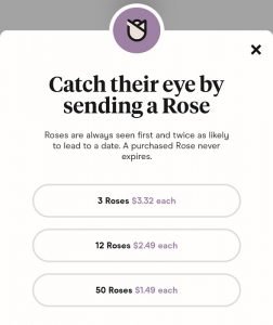 Hinge Roses - Price, Cost, Subscription