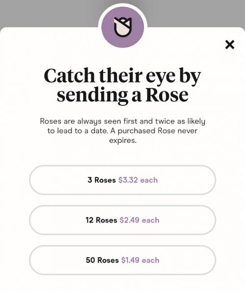 Collection 26+ Background Images how do you get roses on hinge Sharp Collection 26+ Background Images how do you get roses on hinge Sharp