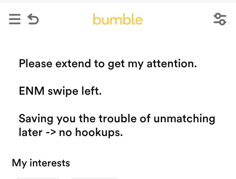 Worst Bumble Bio, Bad Bumble About Me, Bumble Profile Examples, Bumble Bio Woman, Bumble Profile Female