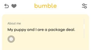 Worst Bumble Bio, Bad Bumble About Me, Bumble Profile Examples