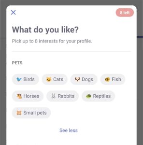 Coffee Meets Bagel Profile Template - Interests