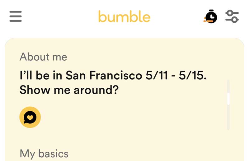 Bumble Dating Profile Example, Male, Female, Bumble Bio, About Me